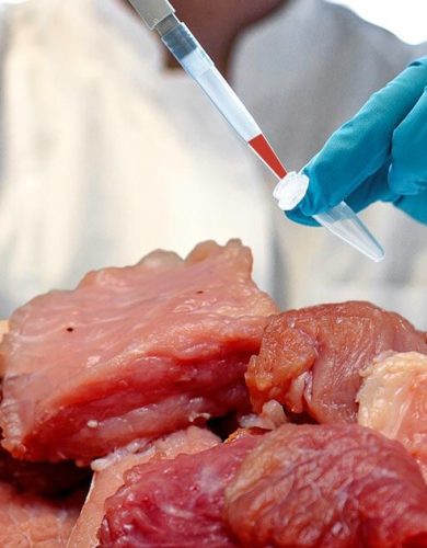 lab-grown-meat lab-grown-meat